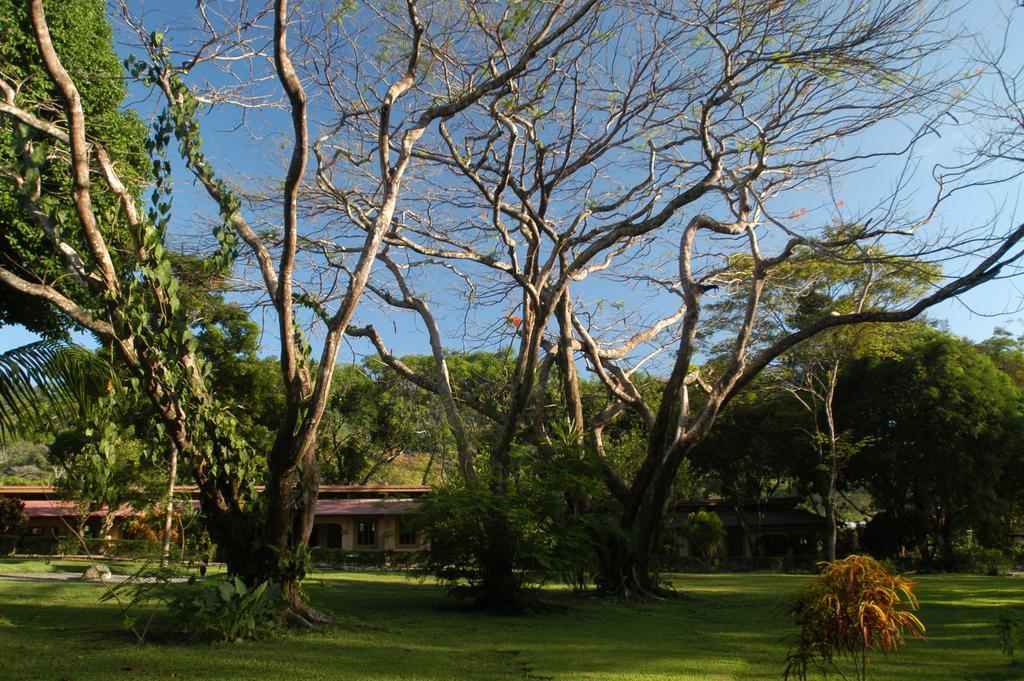 Jaco Hotel Docelunas Bagian luar foto